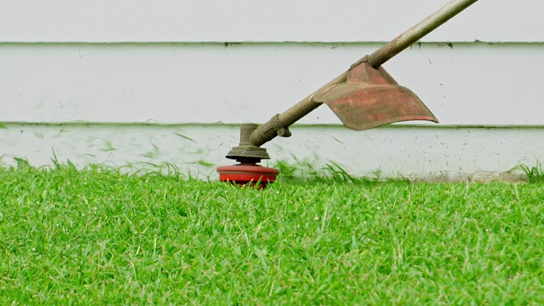 Grass Overseeding in Gramercy, LA